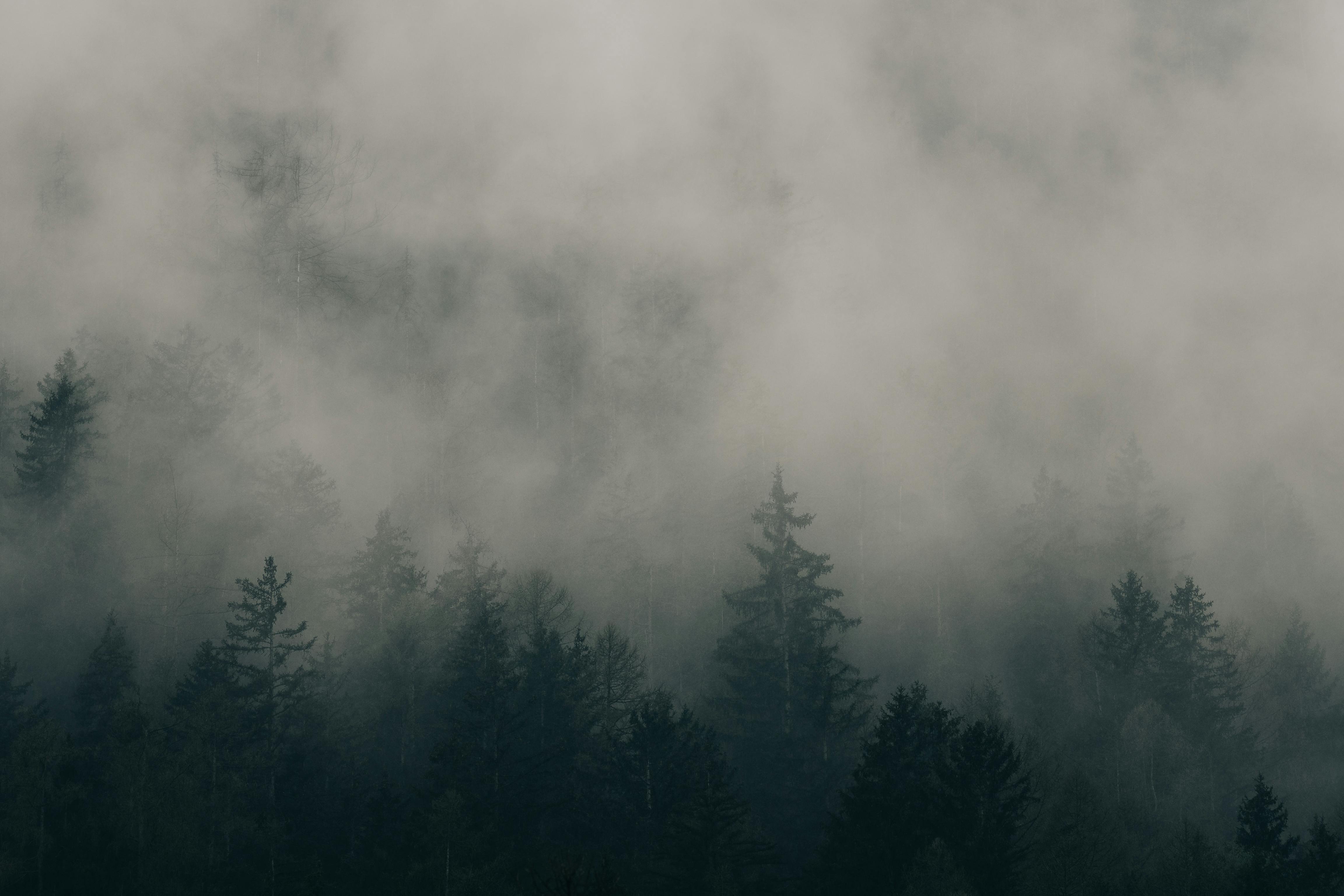 foggy imperfect information